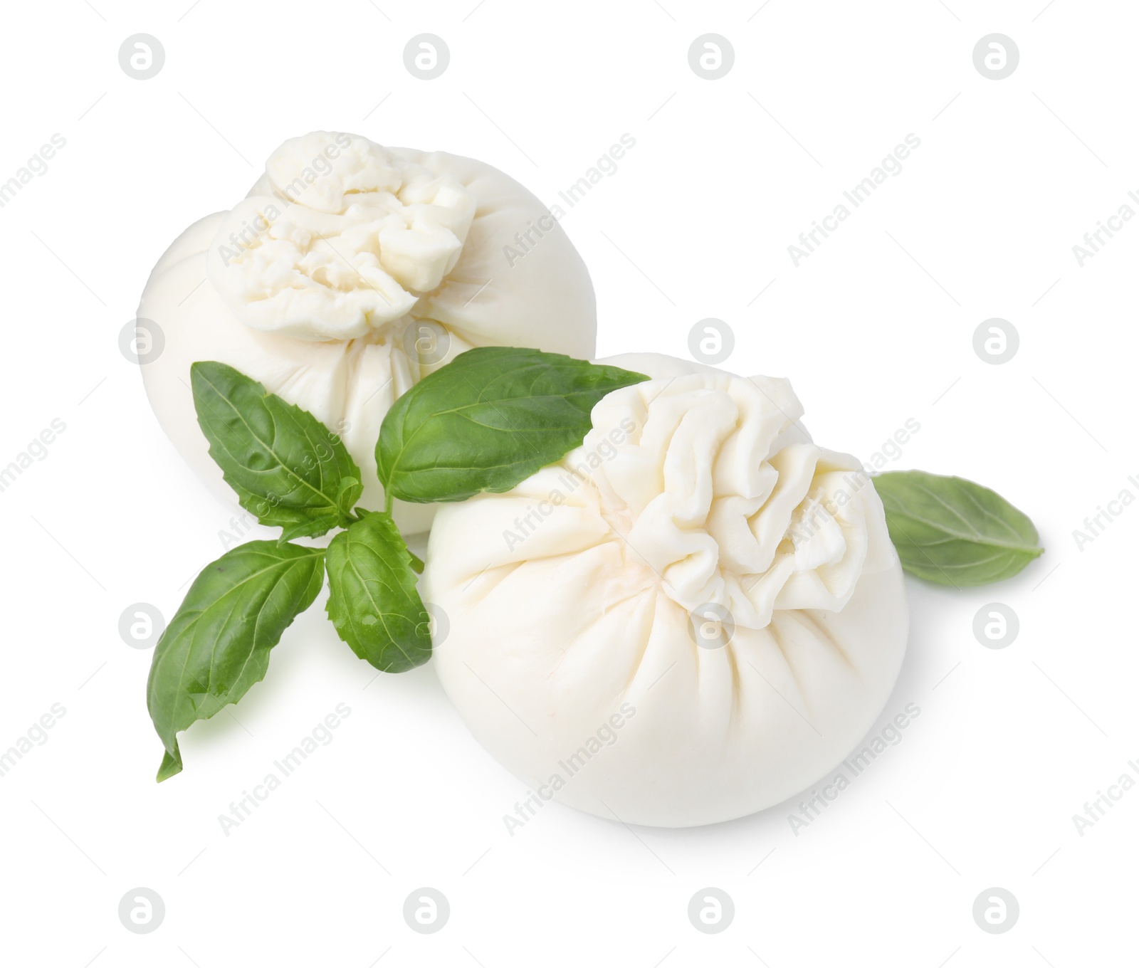 Photo of Fresh delicious burrata cheese and basil isolated on white