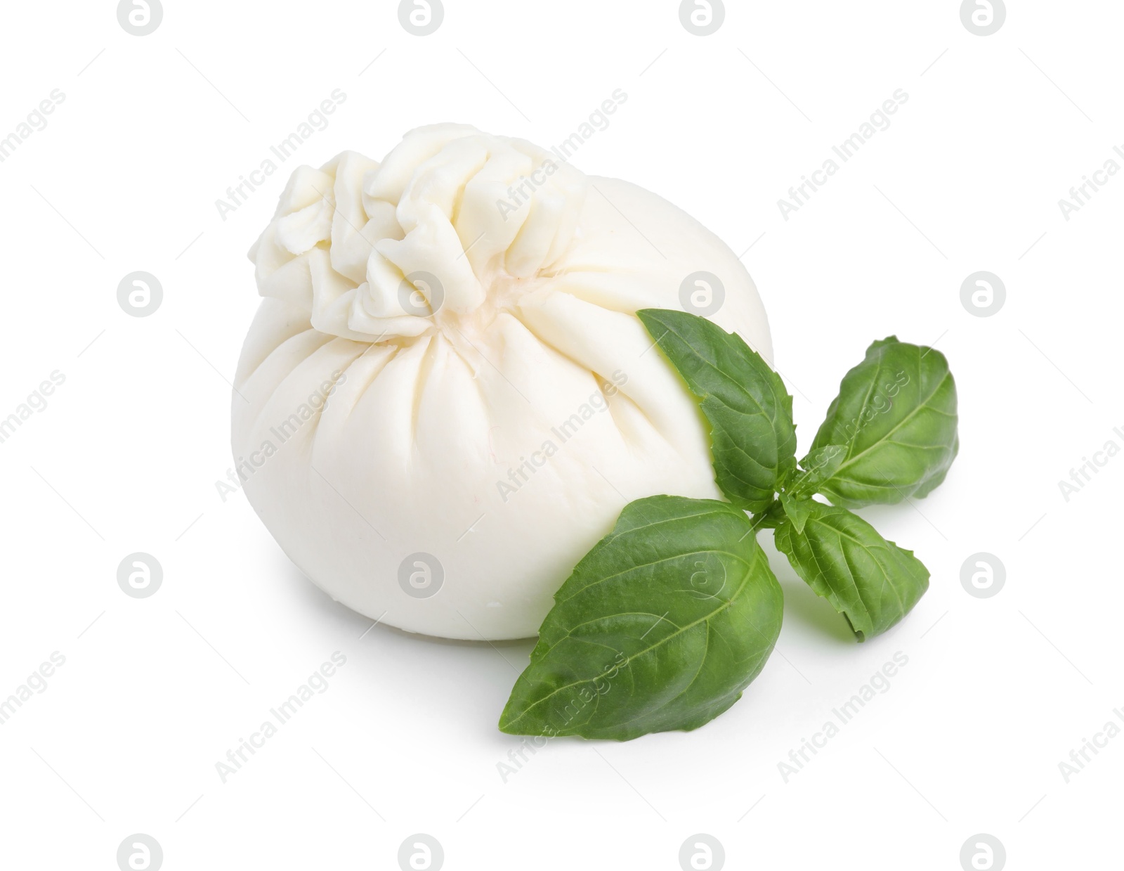 Photo of Fresh delicious burrata cheese and basil isolated on white