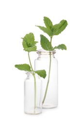 Photo of Mint in glass bottles isolated on white