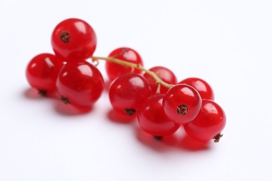 Photo of Fresh ripe red currant berries isolated on white