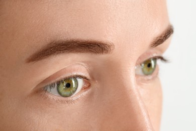 Photo of Woman with beautiful green eyes on light grey background, closeup
