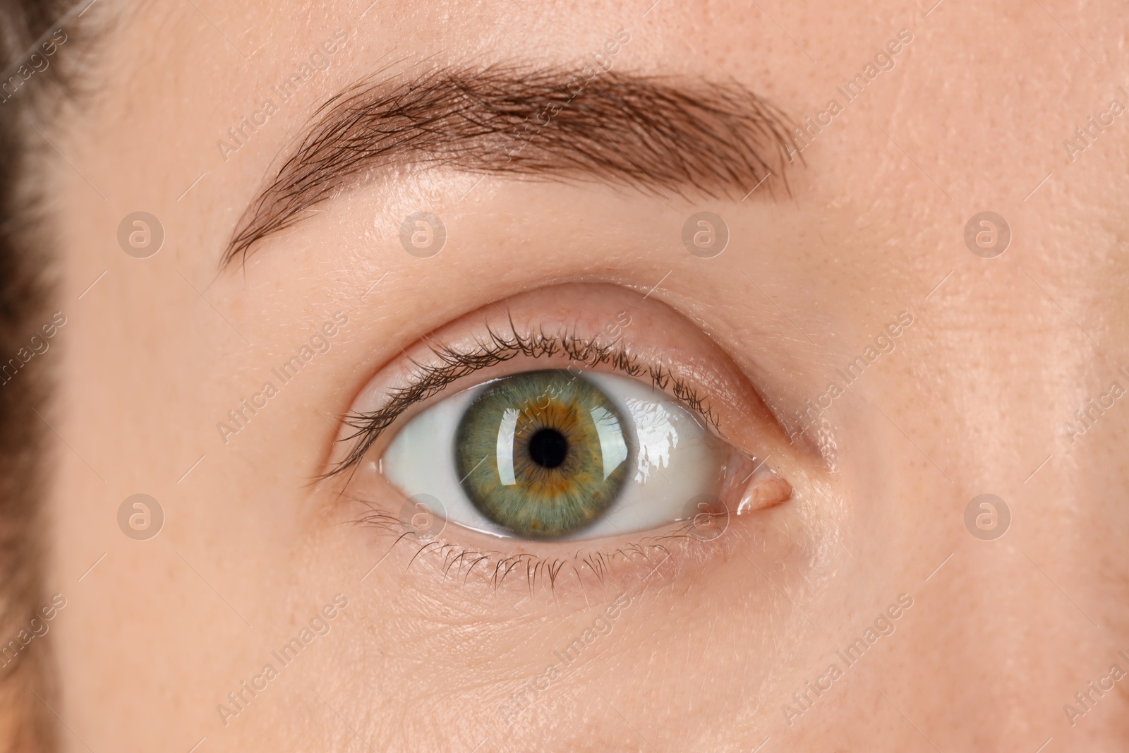 Photo of Woman with beautiful green eyes, closeup view