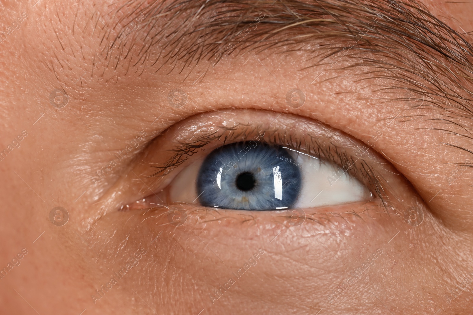 Photo of Macro photo of man with beautiful blue eyes