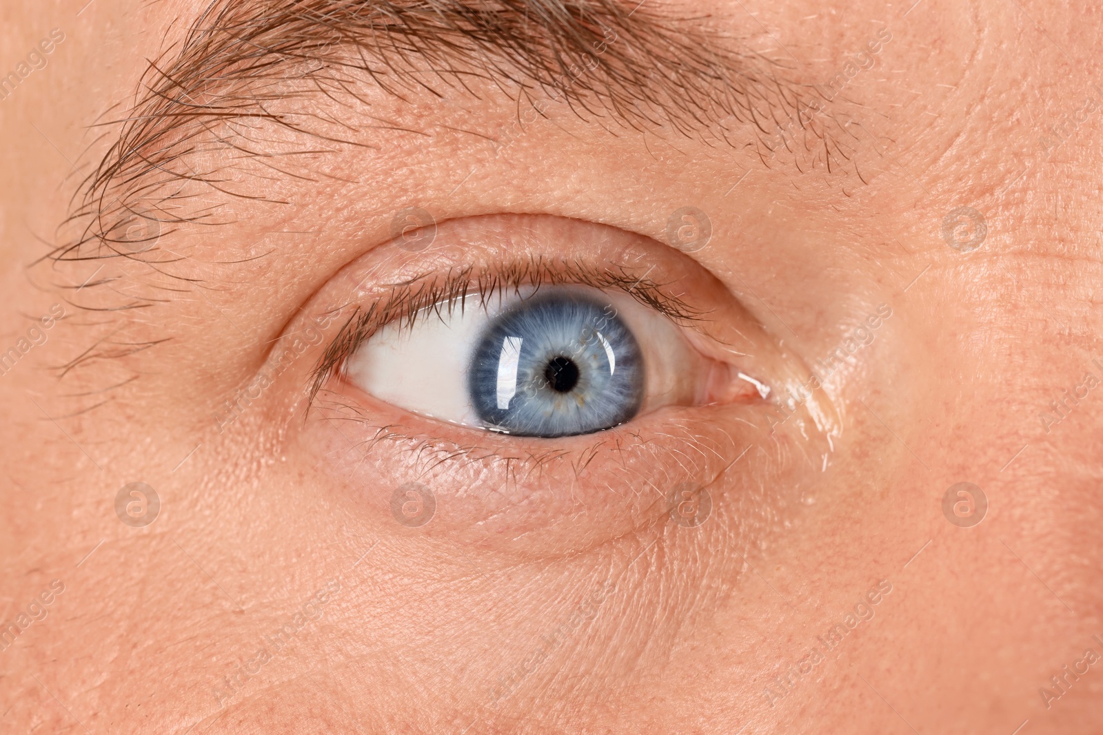 Photo of Macro photo of man with beautiful blue eyes