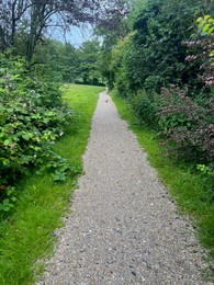 Photo of Picturesque view of pathway among trees and green grass