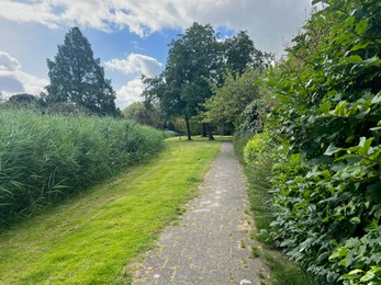 Picturesque view of park with trees and pathway in summer