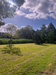 Photo of Picturesque view of park with trees in summer