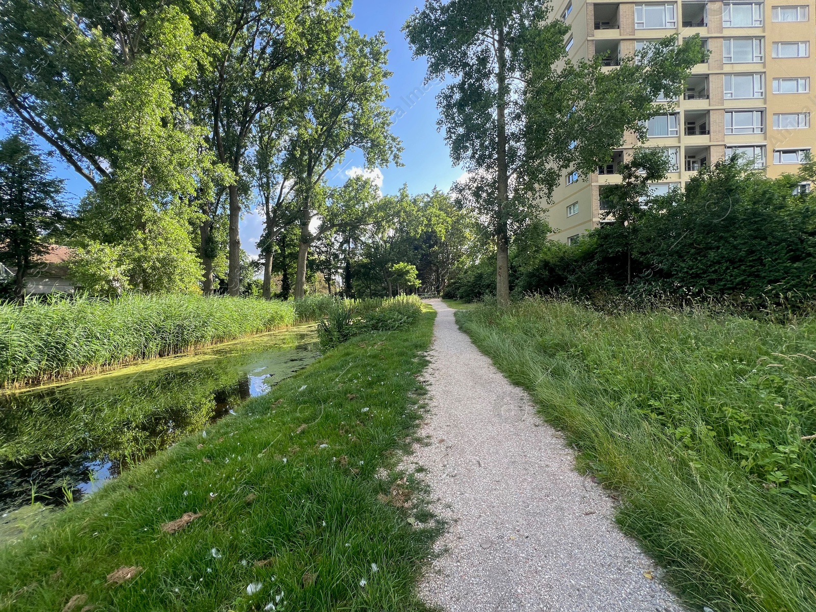 Photo of Picturesque view of river, trees and pathway