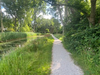 Picturesque view of river, trees and pathway