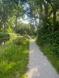 Picturesque view of river, trees and pathway