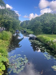 Photo of Picturesque view of river, trees and moored boats