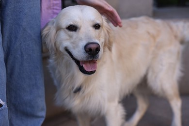 Owner with cute Golden Retriever dog outdoors, closeup