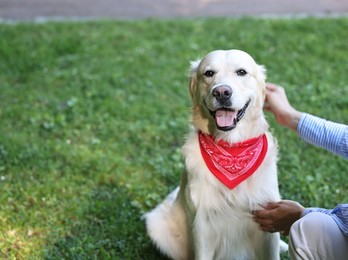 Photo of Owner with cute Golden Retriever dog outdoors, closeup. Space for text