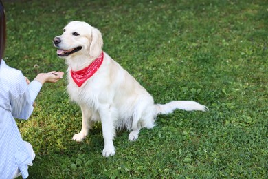 Photo of Owner feeding cute Golden Retriever dog outdoors, closeup. Space for text