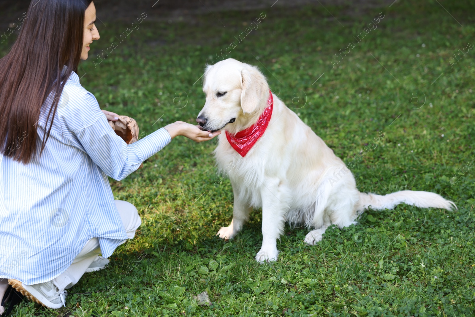 Photo of Smiling owner feeding cute Golden Retriever dog outdoors