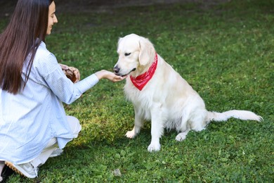 Smiling owner feeding cute Golden Retriever dog outdoors