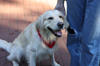 Photo of Owner with cute Golden Retriever dog outdoors, closeup