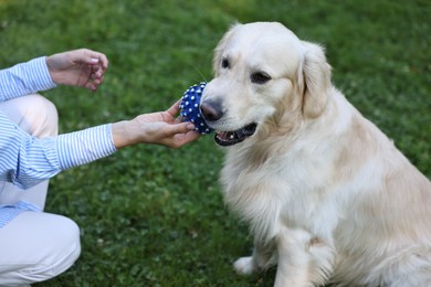 Photo of Owner giving toy ball to cute Golden Retriever dog outdoors, closeup