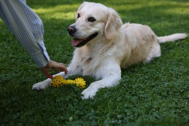 Photo of Owner with cute Golden Retriever dog outdoors, closeup