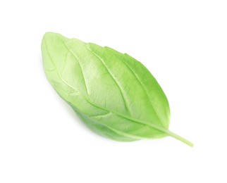 Photo of Fresh green basil leaf isolated on white