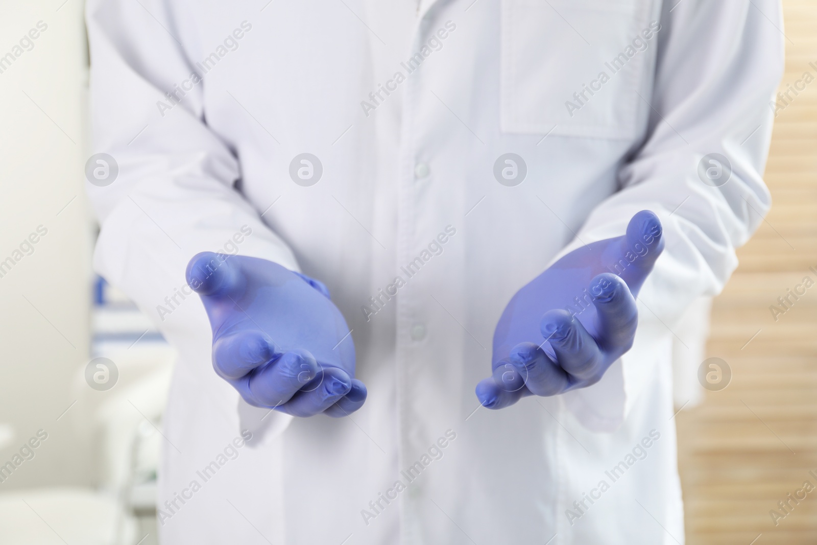 Photo of Doctor in gloves holding something indoors, selective focus