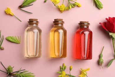 Aromatherapy. Different essential oils, fir twigs and flowers on pink background, flat lay