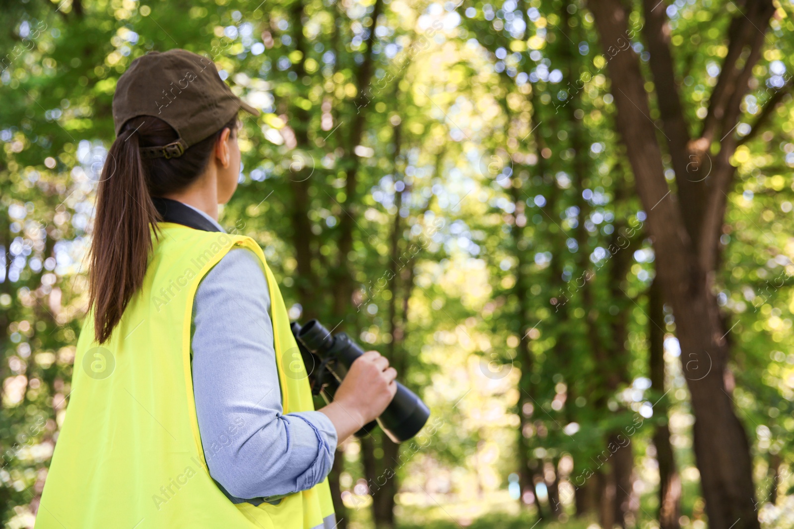 Photo of Forester with binoculars examining plants in forest, back view. Space for text