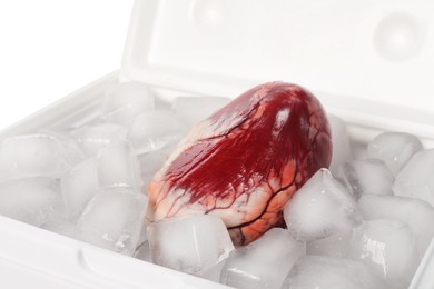 Photo of Heart with ice in cool box on white background