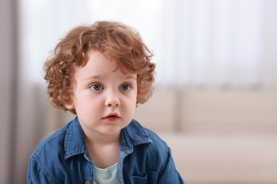 Portrait of little boy indoors, space for text. Cute child