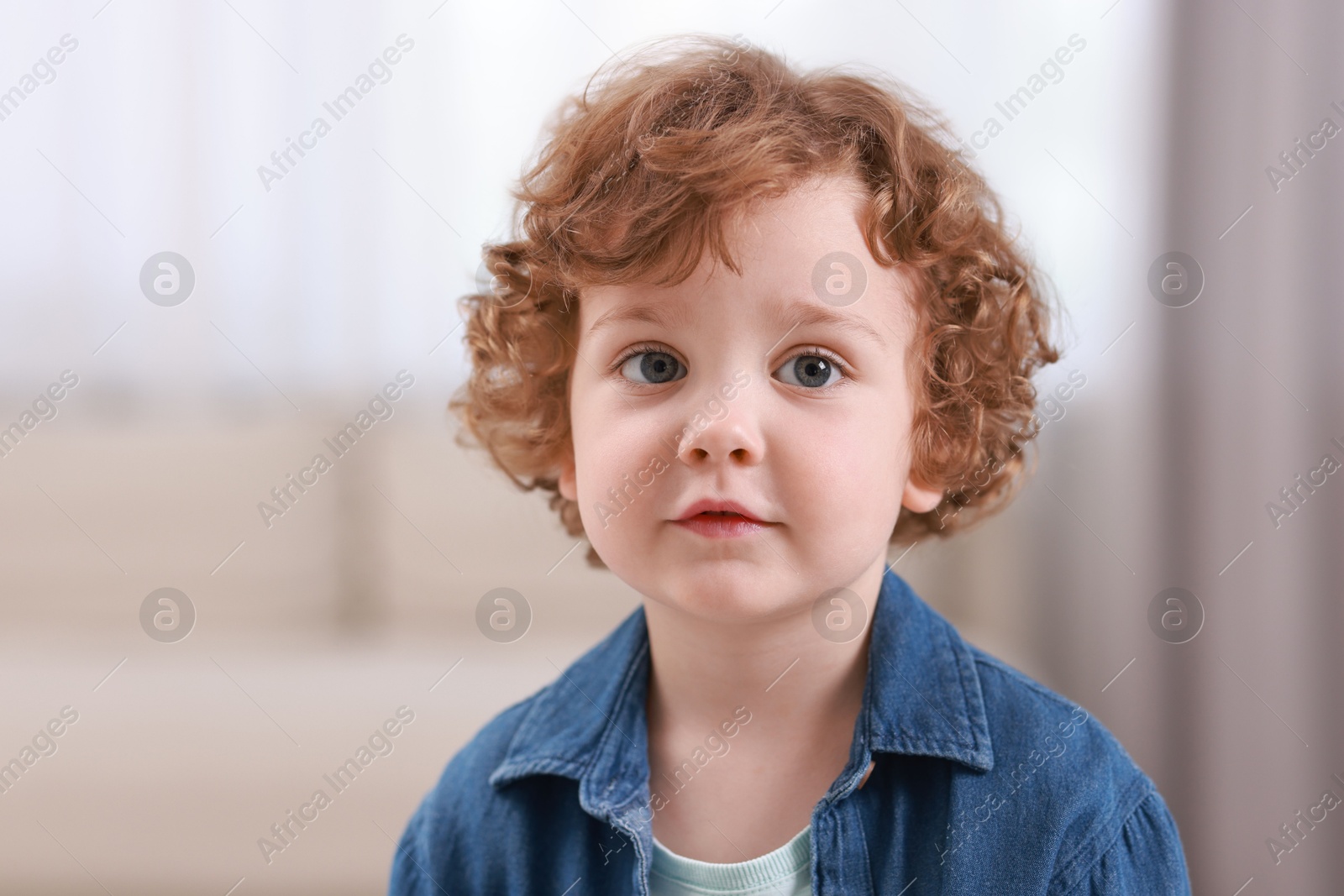 Photo of Portrait of little boy indoors. Cute child