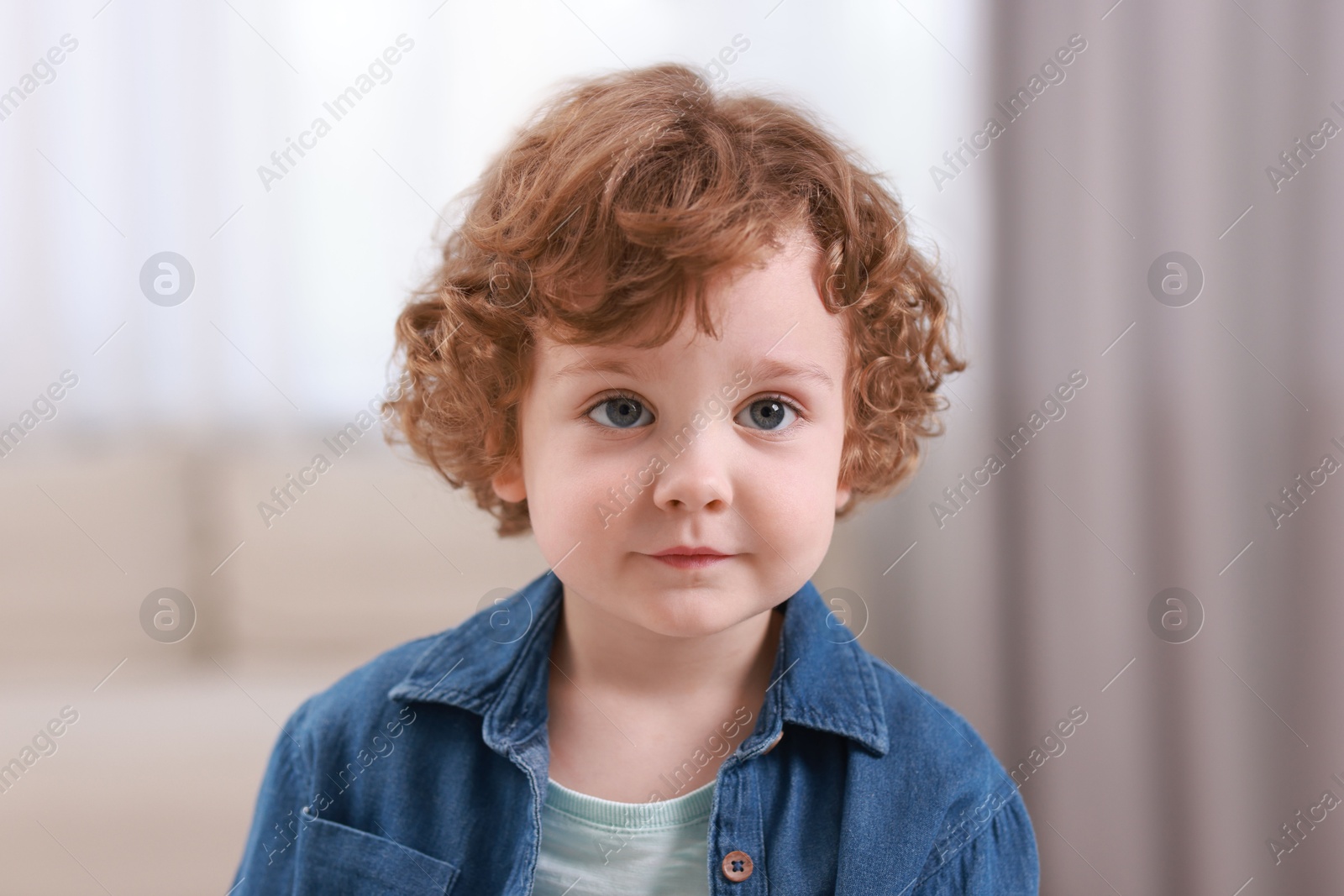 Photo of Portrait of little boy indoors. Cute child