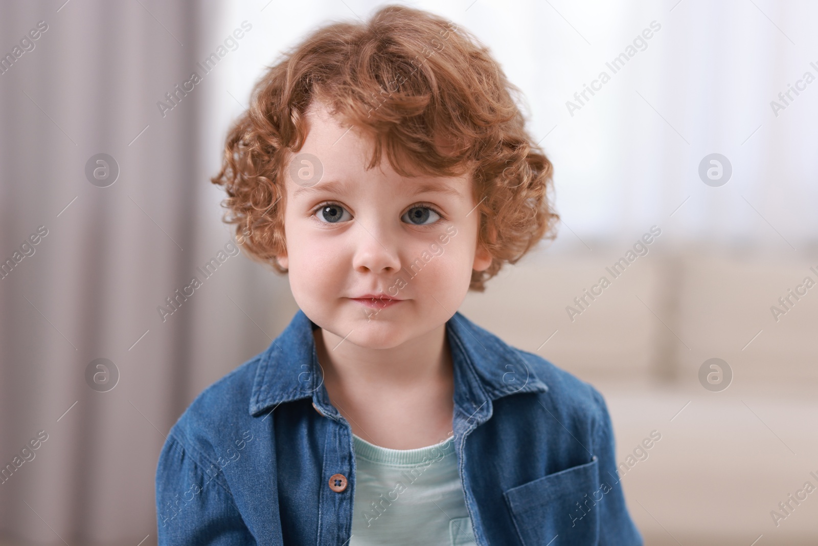 Photo of Portrait of little boy indoors. Cute child