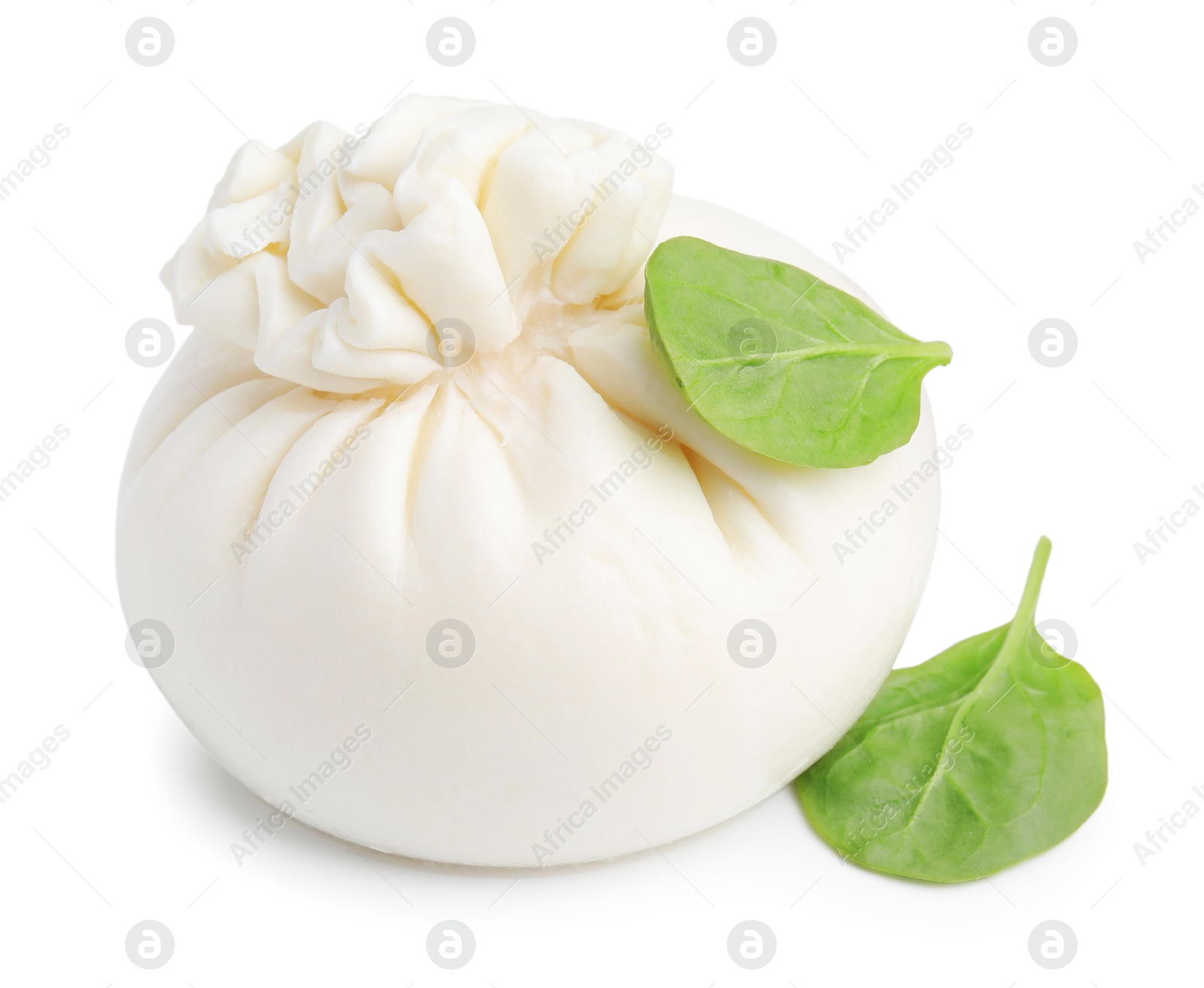 Photo of Fresh delicious burrata cheese and basil isolated on white