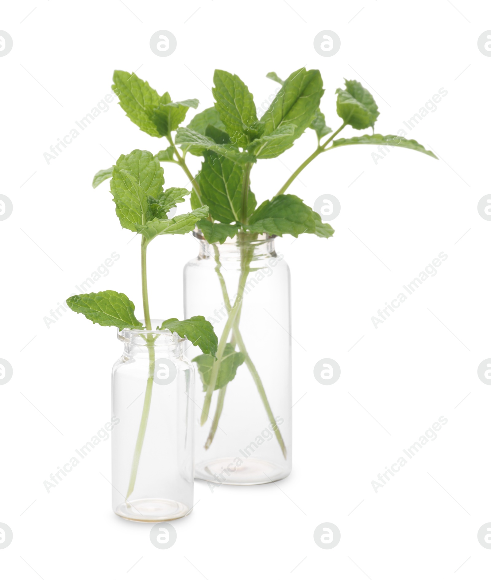 Photo of Mint in glass bottles isolated on white