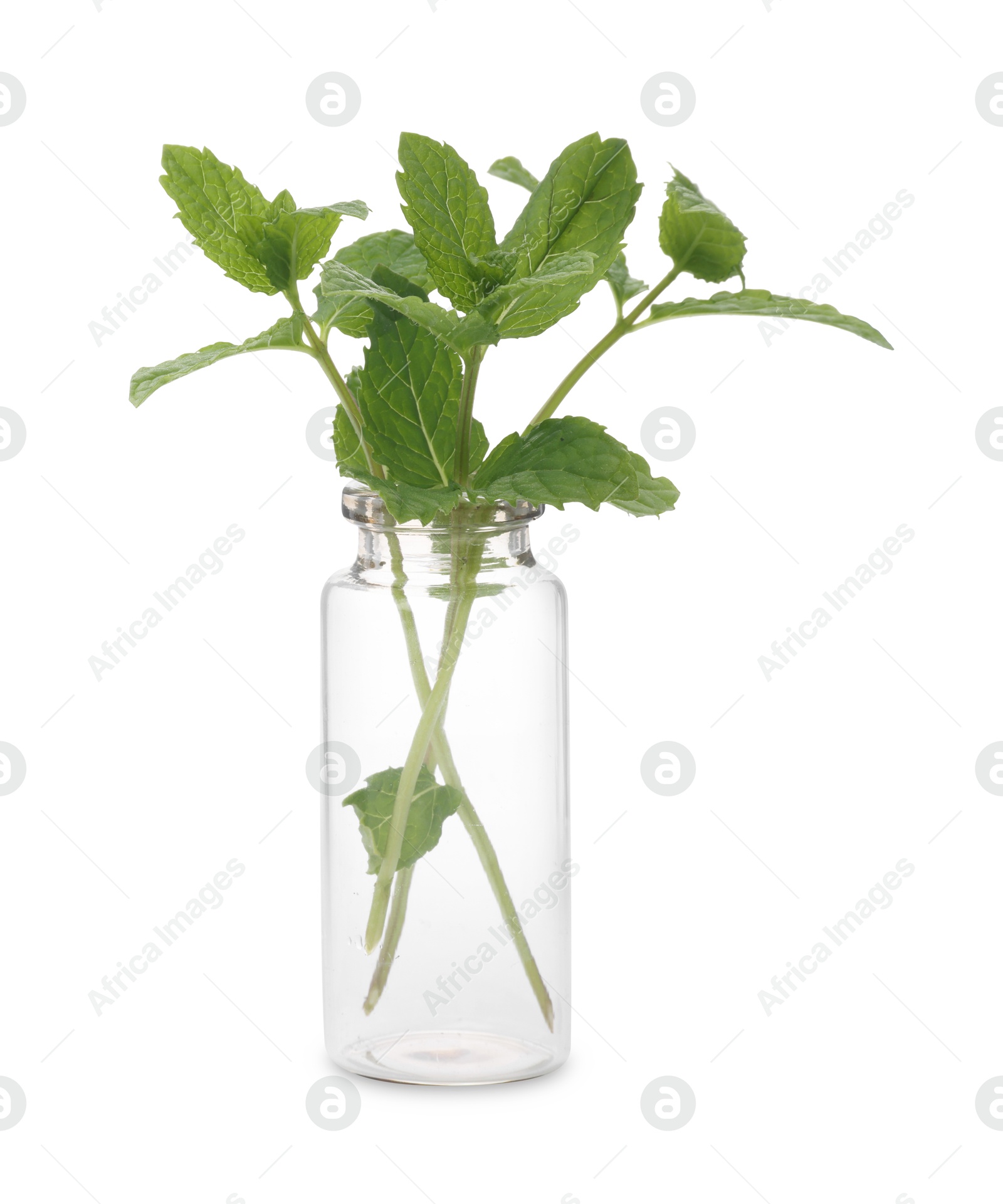 Photo of Mint in glass bottle isolated on white