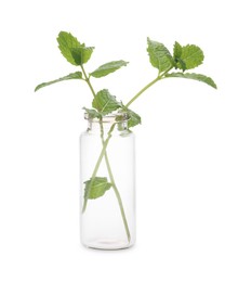 Photo of Mint in glass bottle isolated on white