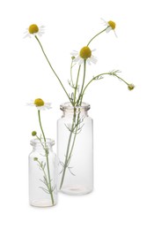 Photo of Beautiful chamomile flowers in glass bottles isolated on white