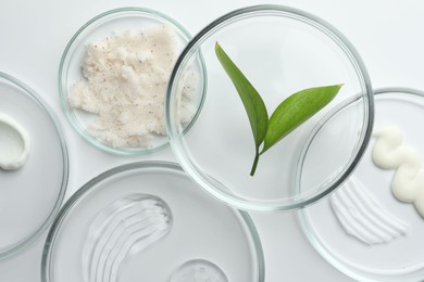 Photo of Petri dishes with different cosmetic products and leaves on white background, flat lay