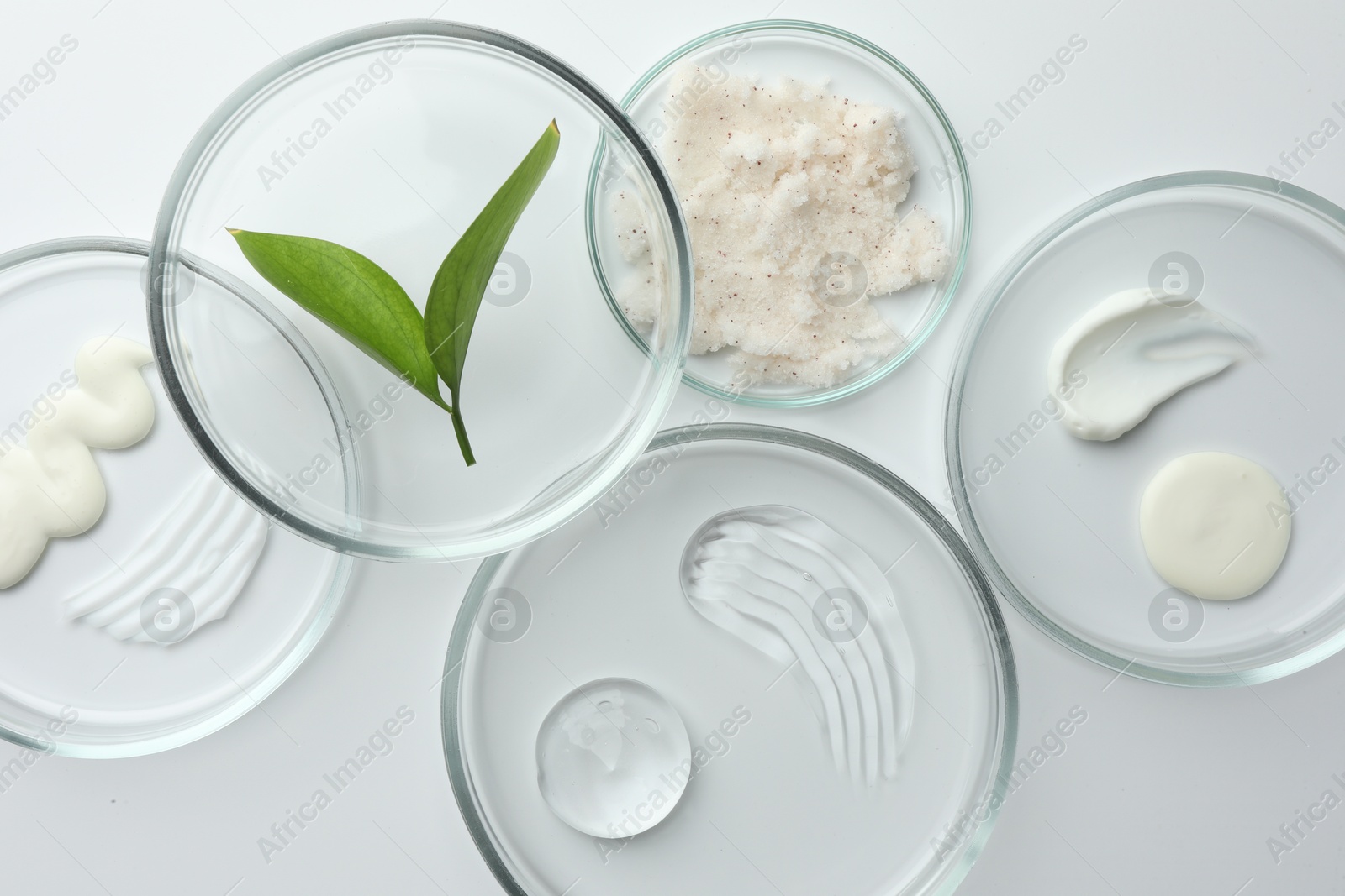 Photo of Petri dishes with different cosmetic products and leaves on white background, flat lay