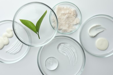 Petri dishes with different cosmetic products and leaves on white background, flat lay