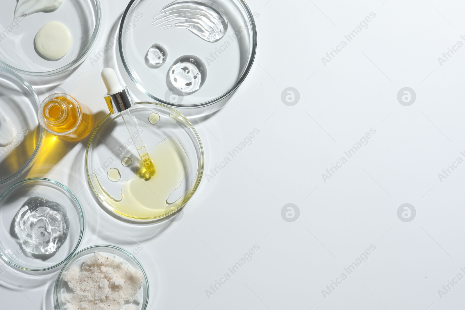 Photo of Petri dishes with different cosmetic products on white background, top view. Space for text