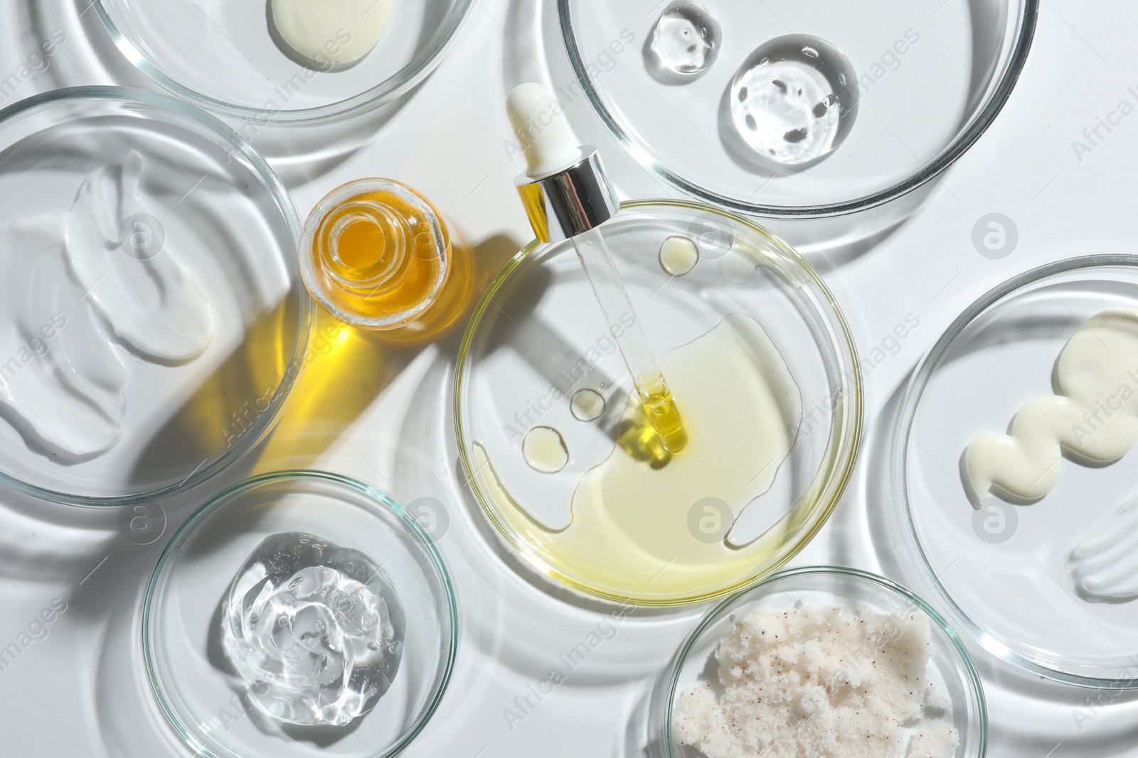 Photo of Petri dishes with different cosmetic products on white background, flat lay