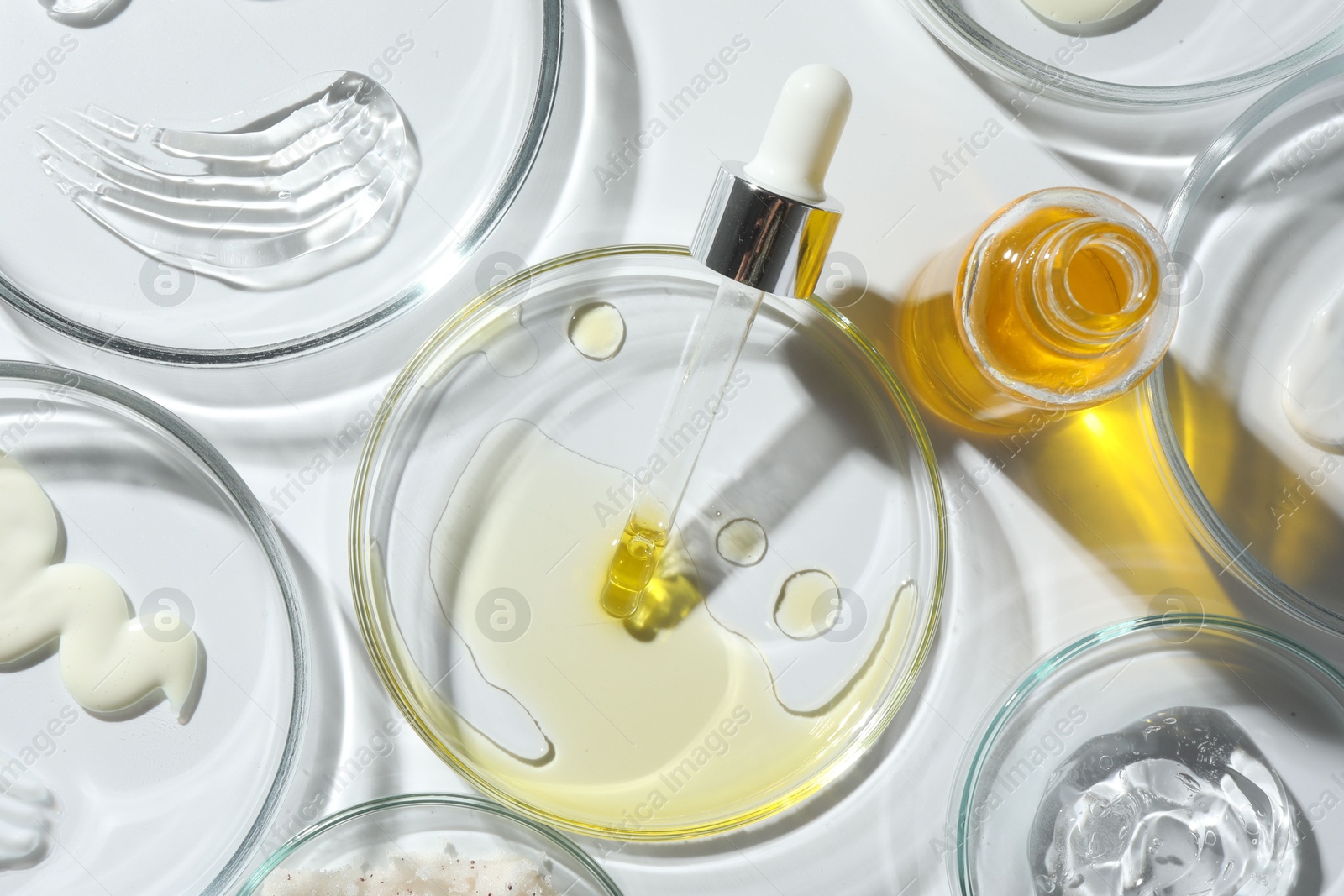 Photo of Petri dishes with different cosmetic products on white background, flat lay