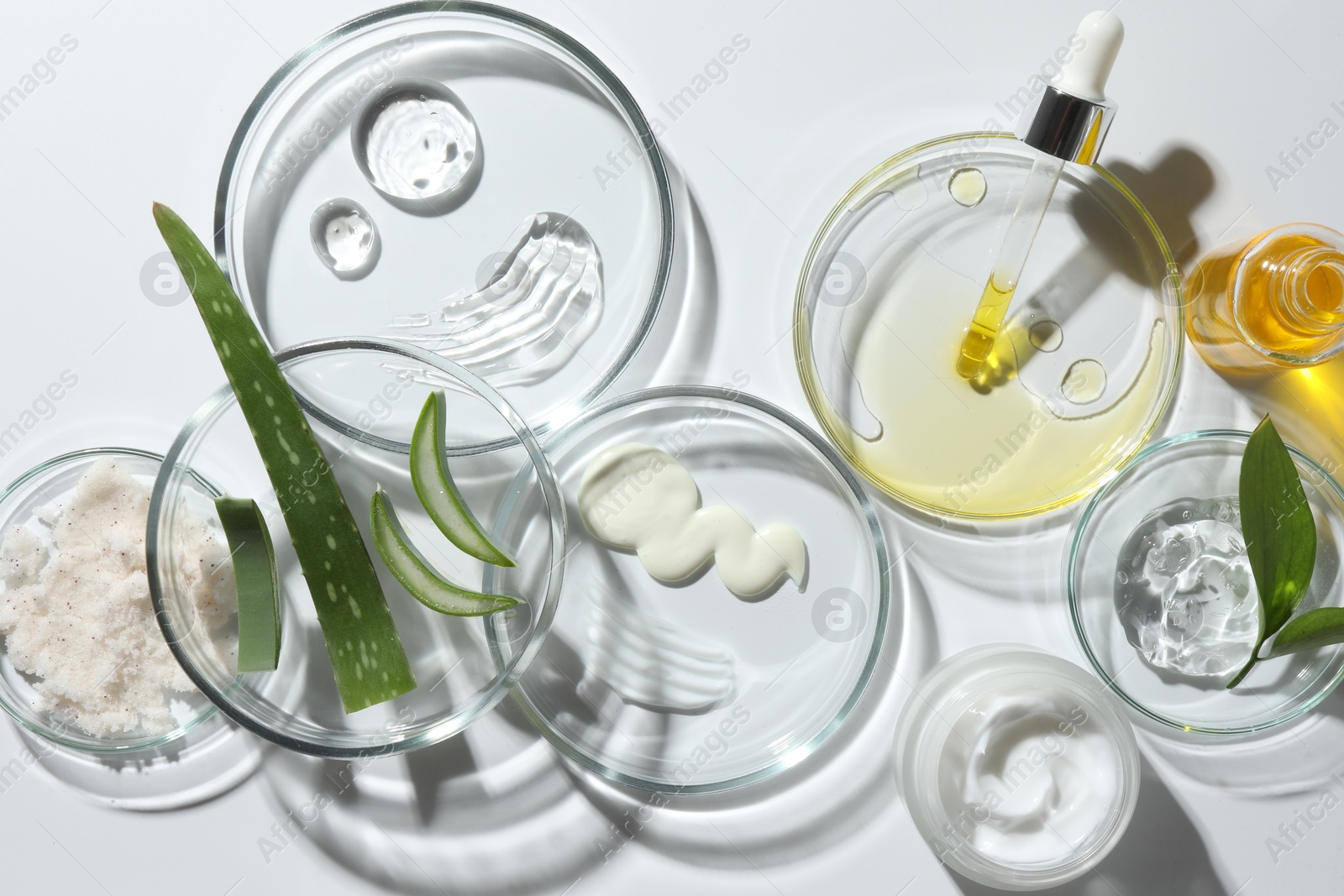 Photo of Petri dishes with different cosmetic products and aloe vera leaves on white background, flat lay