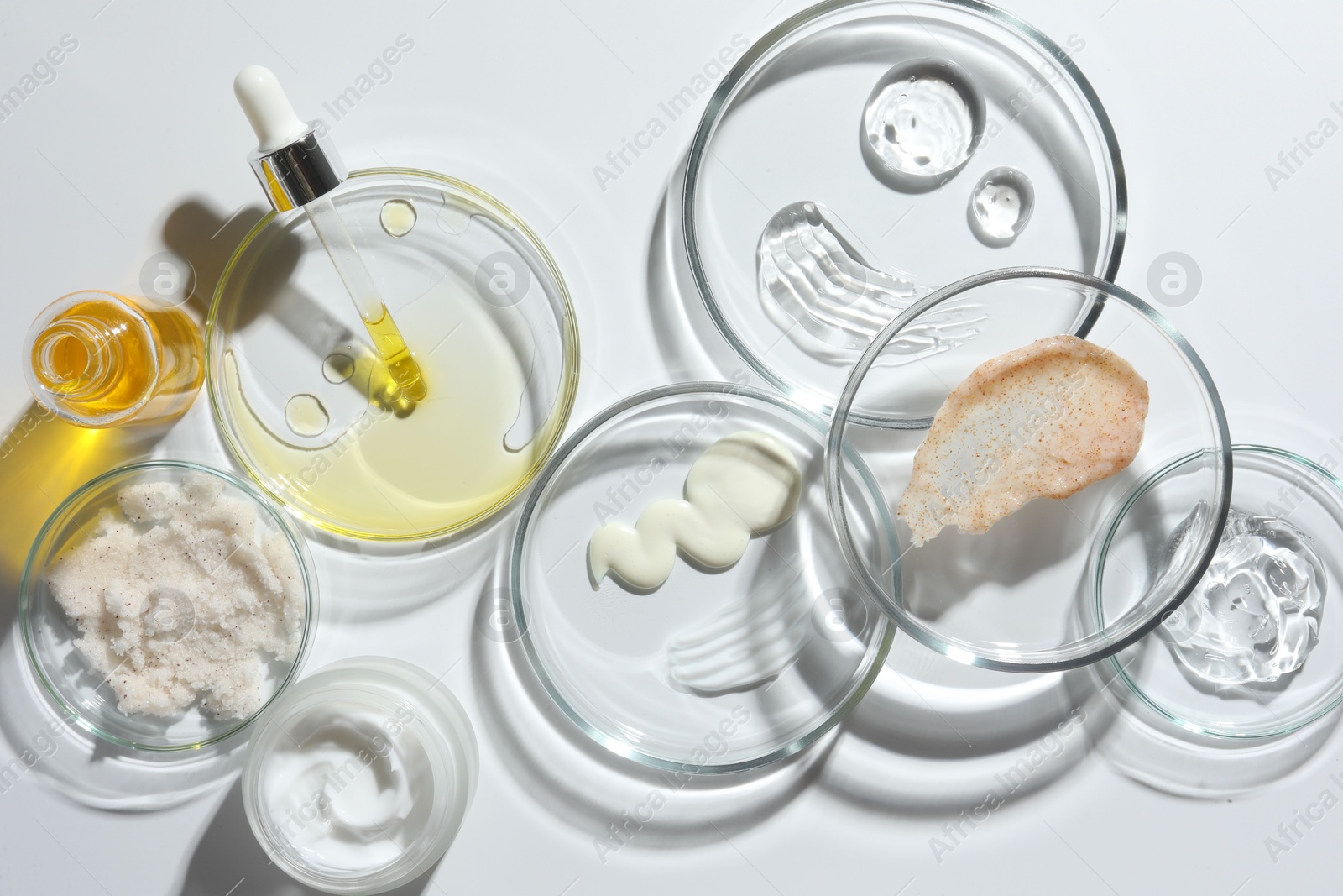 Photo of Petri dishes with different cosmetic products on white background, flat lay