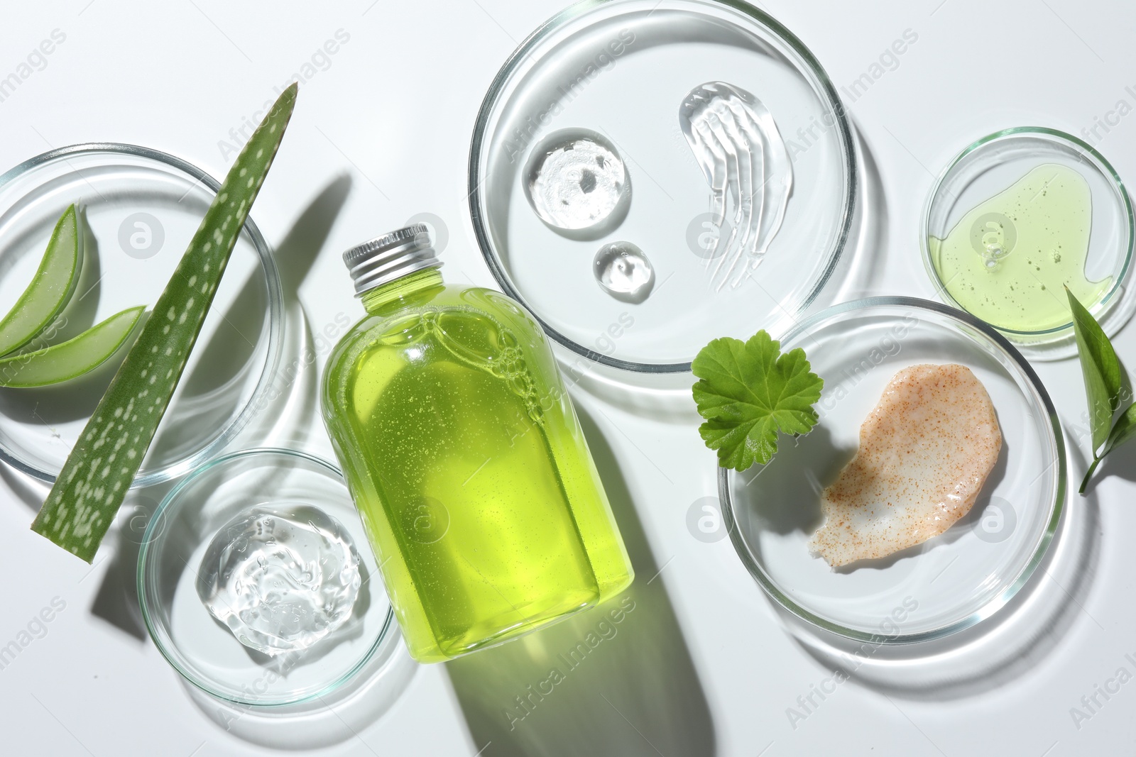 Photo of Petri dishes with different cosmetic products and aloe vera leaves on white background, flat lay