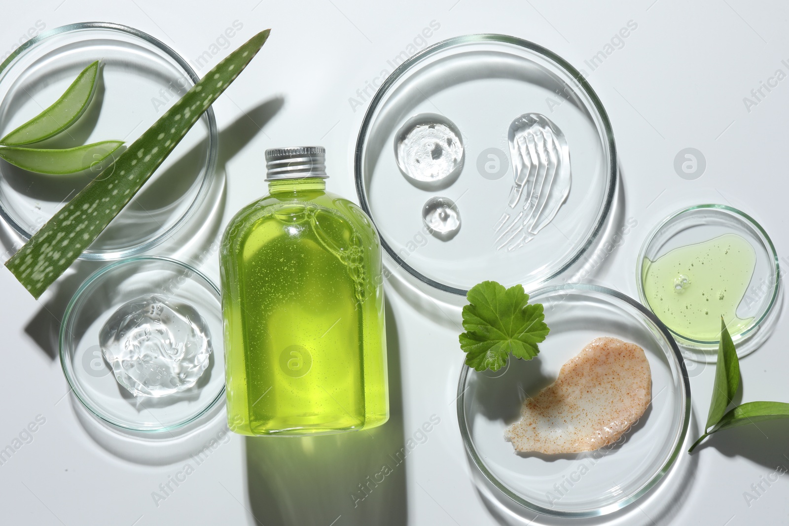 Photo of Petri dishes with different cosmetic products and aloe vera leaves on white background, flat lay