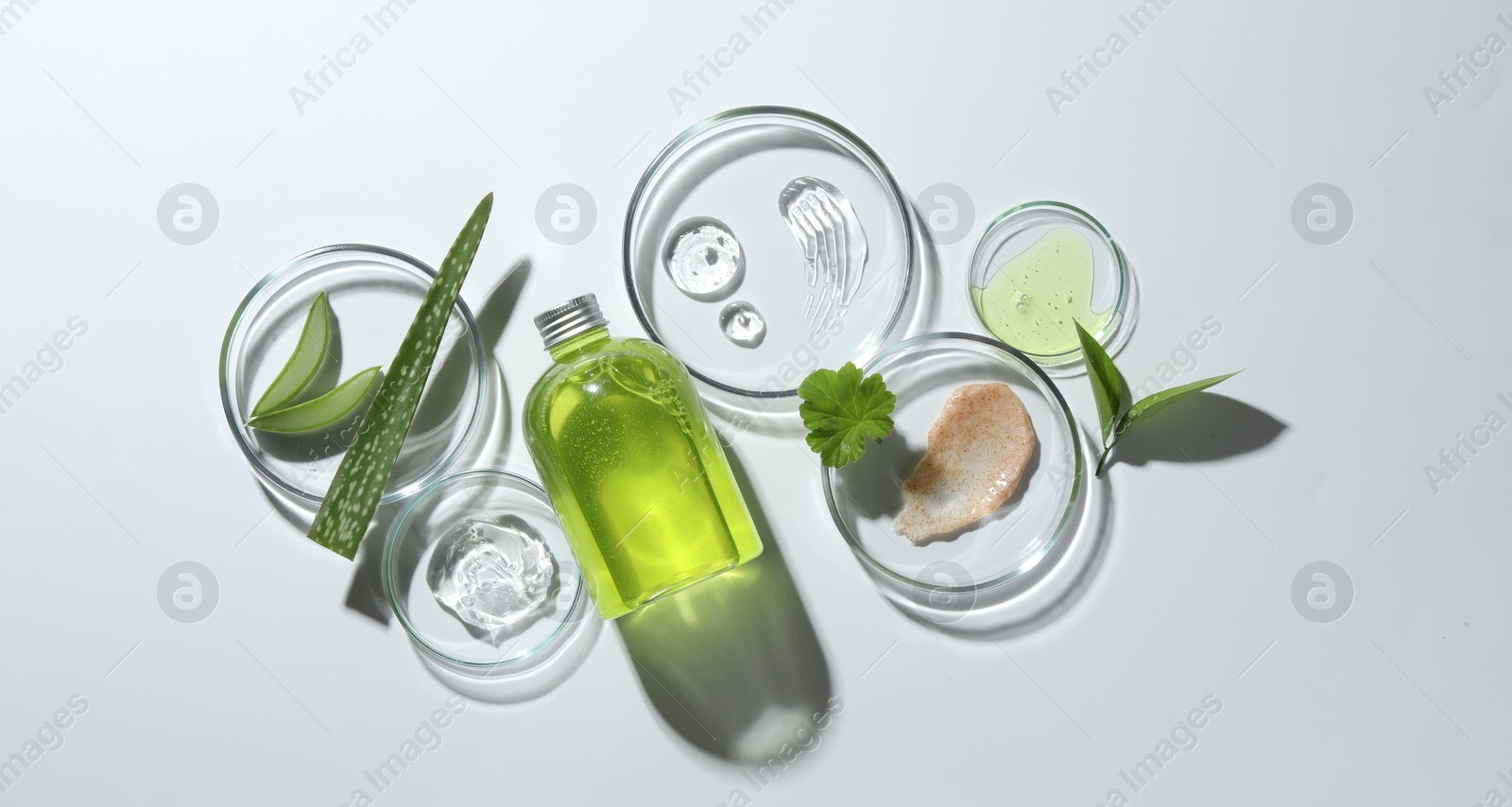 Photo of Petri dishes with different cosmetic products and aloe vera leaves on white background, flat lay