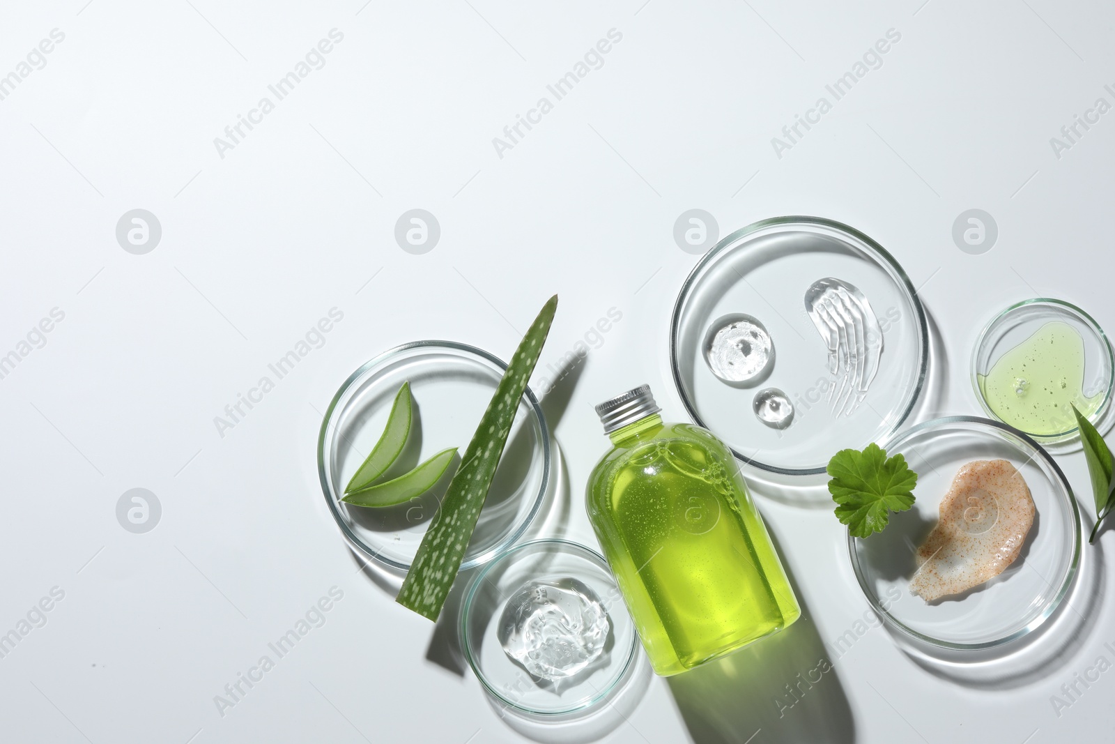 Photo of Petri dishes with different cosmetic products and aloe vera leaves on white background, flat lay. Space for text