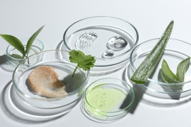 Petri dishes with different cosmetic products and aloe vera leaves on white background, closeup